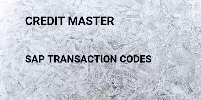 Credit master Tcode in SAP