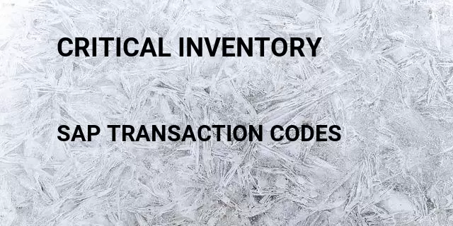 Critical inventory Tcode in SAP