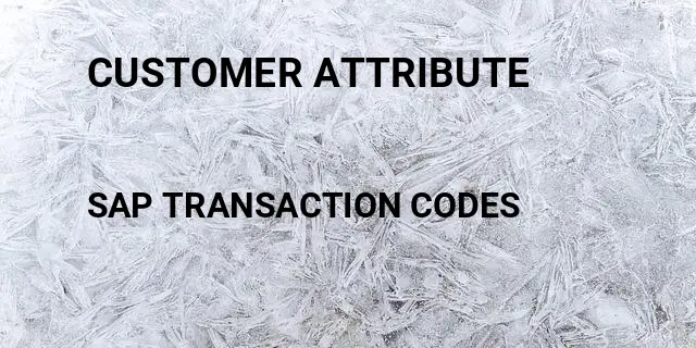Customer attribute Tcode in SAP