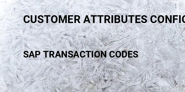 Customer attributes configuration Tcode in SAP