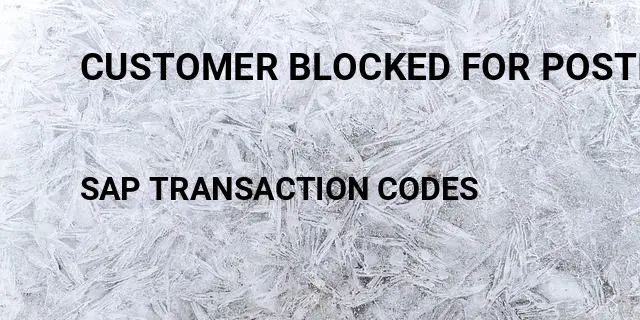 Customer blocked for posting Tcode in SAP