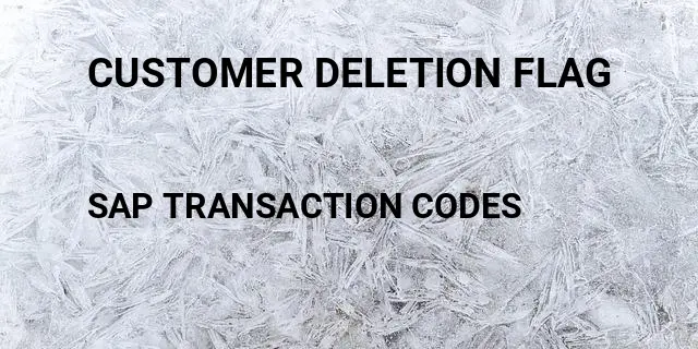 Customer deletion flag Tcode in SAP