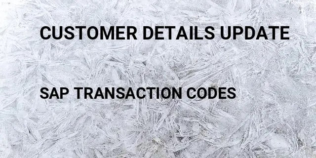 Customer details update Tcode in SAP