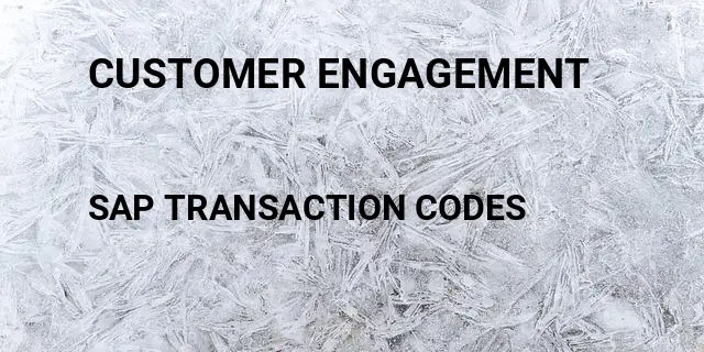 Customer engagement Tcode in SAP