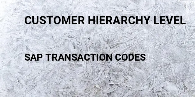 Customer hierarchy level Tcode in SAP