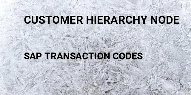 Customer hierarchy node Tcode in SAP