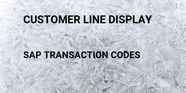 Customer line display Tcode in SAP