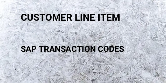 Customer line item Tcode in SAP