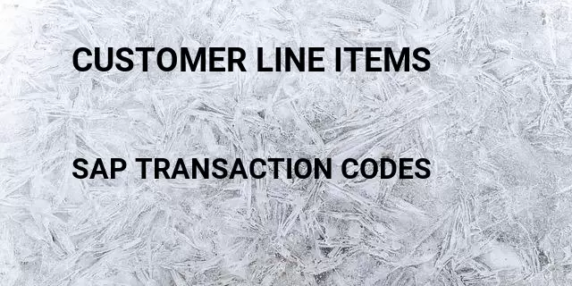 Customer line items Tcode in SAP