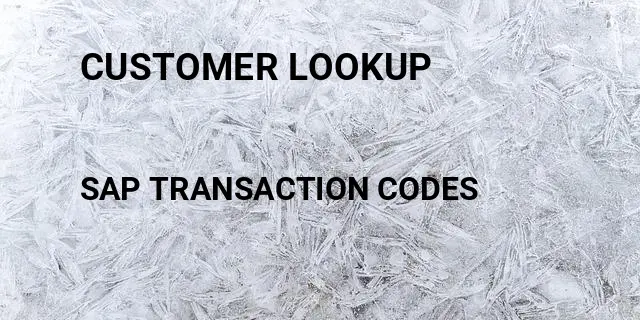 Customer lookup Tcode in SAP