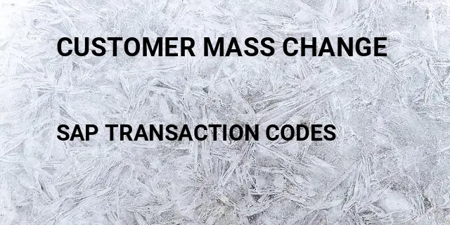 Customer mass change Tcode in SAP