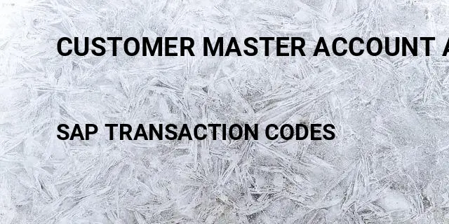 Customer master account assignment group Tcode in SAP