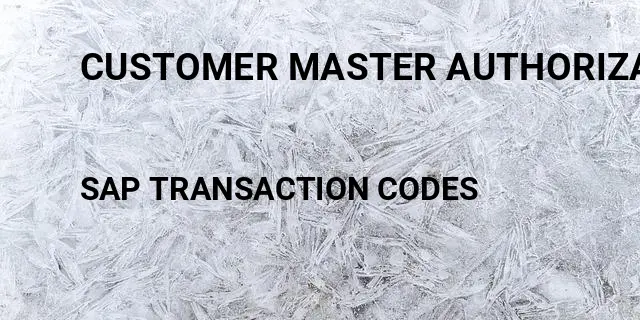 Customer master authorization group Tcode in SAP