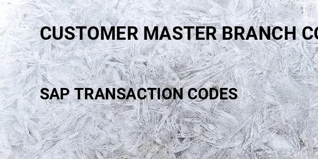 Customer master branch code Tcode in SAP