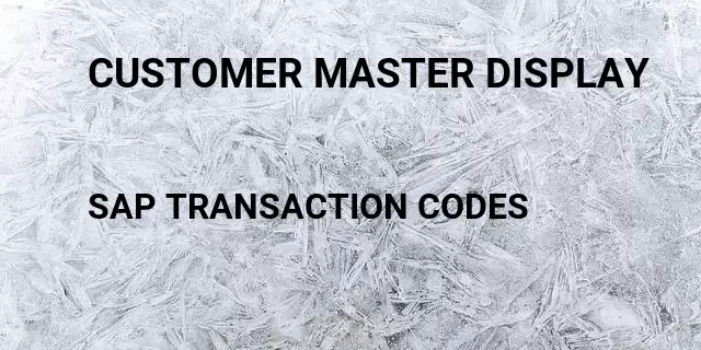 Customer master display Tcode in SAP