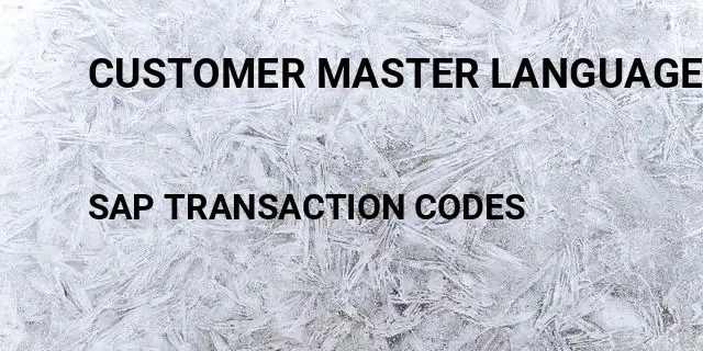 Customer master language Tcode in SAP