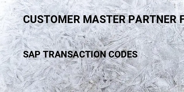 Customer master partner function Tcode in SAP