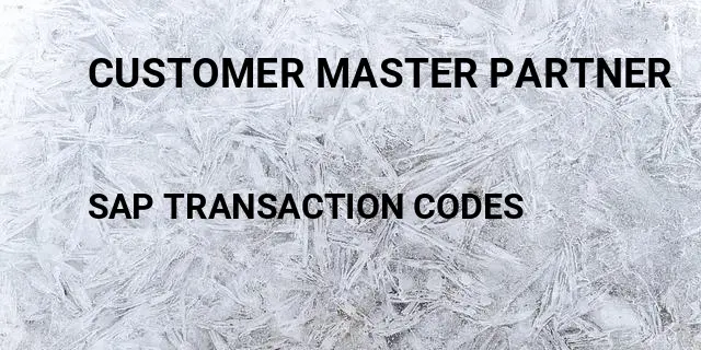 Customer master partner Tcode in SAP