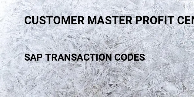 Customer master profit center Tcode in SAP