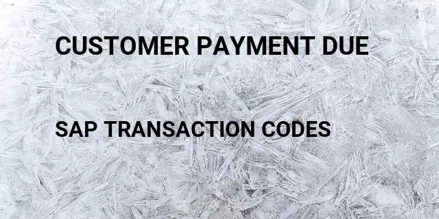 Customer payment due Tcode in SAP