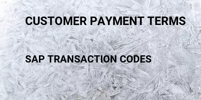 Customer payment terms Tcode in SAP