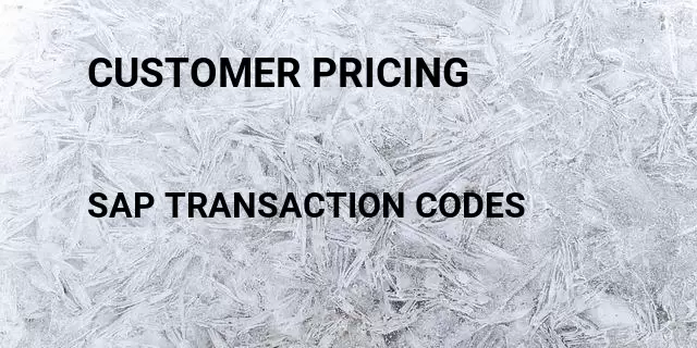 Customer pricing  Tcode in SAP