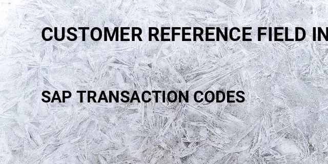 Customer reference field in sales order Tcode in SAP