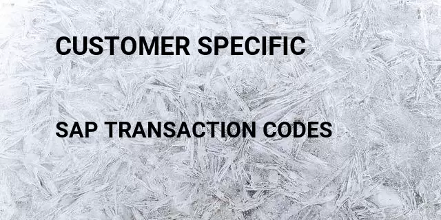 Customer specific Tcode in SAP