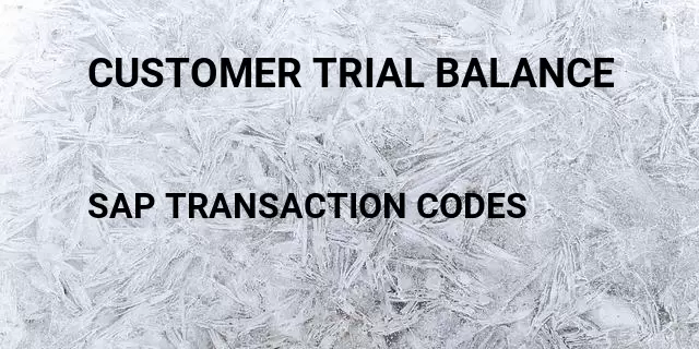 Customer trial balance Tcode in SAP