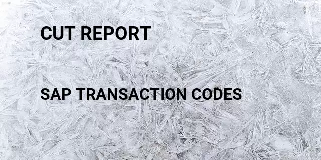 Cut report Tcode in SAP