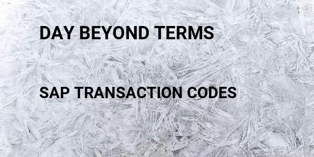 Day beyond terms Tcode in SAP