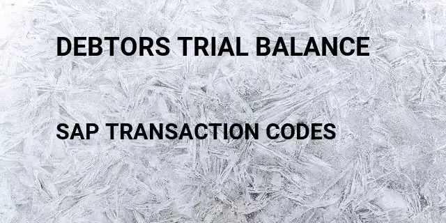 Debtors trial balance Tcode in SAP