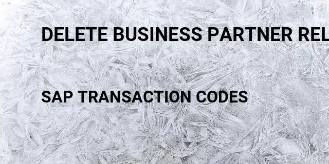 Delete business partner relationship Tcode in SAP
