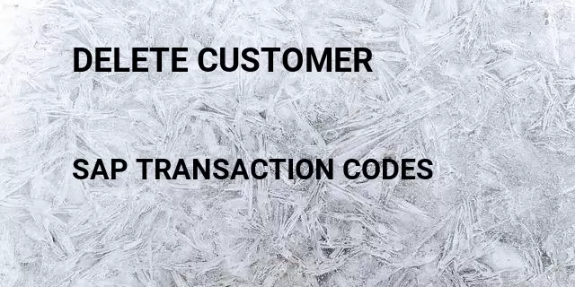 Delete customer Tcode in SAP