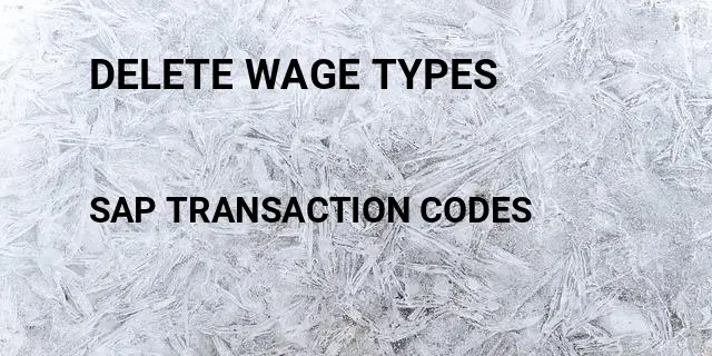 Delete wage types Tcode in SAP