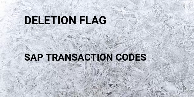 Deletion flag Tcode in SAP