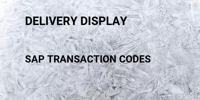 Delivery display Tcode in SAP