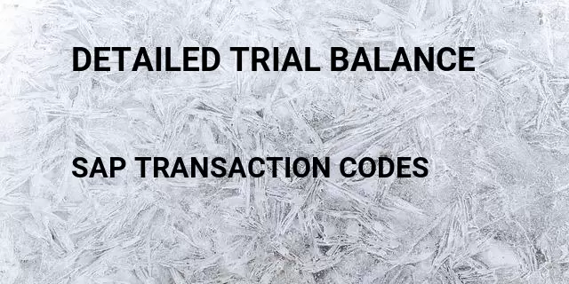 Detailed trial balance Tcode in SAP