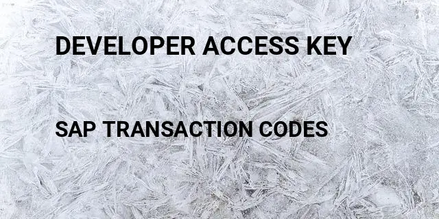 Developer access key Tcode in SAP