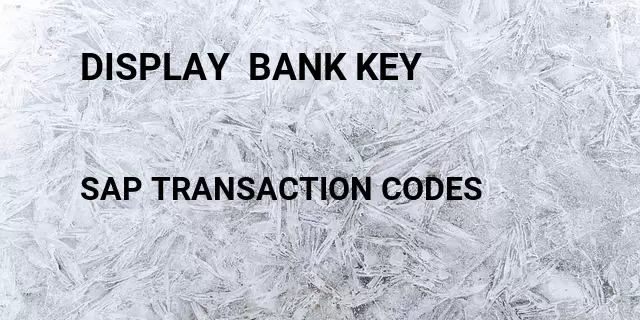 Display  bank key Tcode in SAP