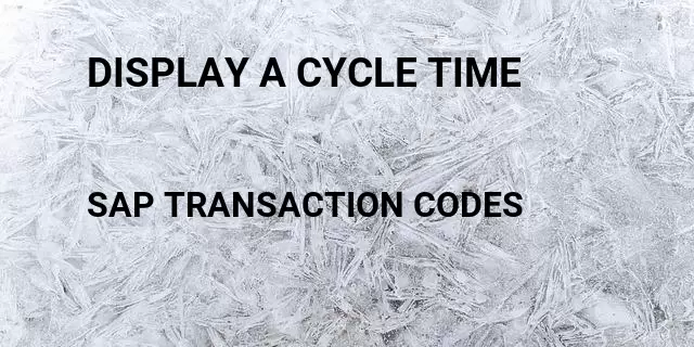 Display a cycle time Tcode in SAP