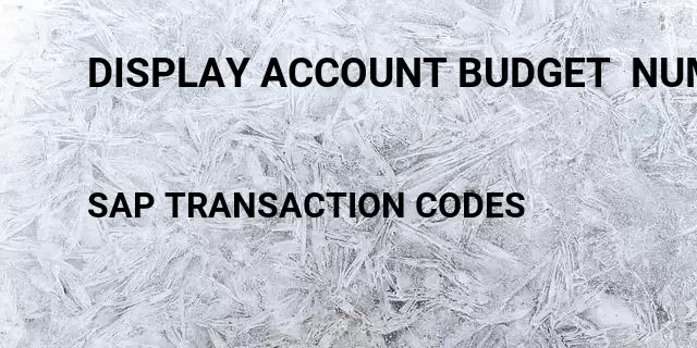 Display account budget  number Tcode in SAP