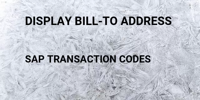 Display bill-to address  Tcode in SAP
