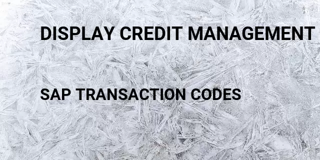 Display credit management log Tcode in SAP
