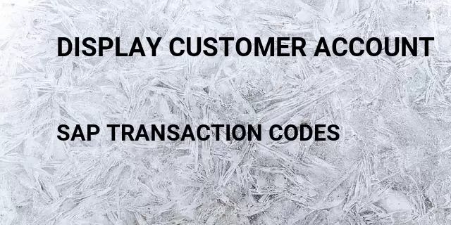 Display customer account Tcode in SAP