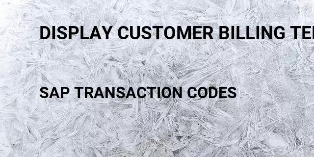 Display customer billing term Tcode in SAP