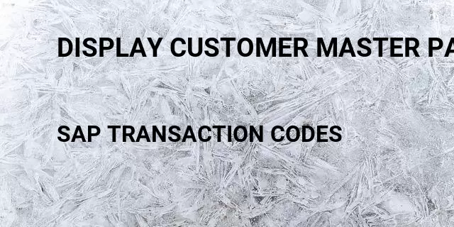 Display customer master payer Tcode in SAP