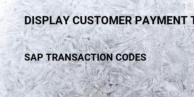 Display customer payment terms Tcode in SAP