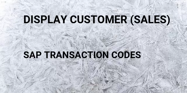 Display customer (sales) Tcode in SAP