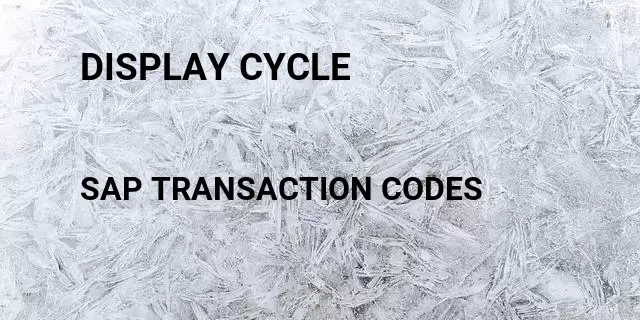 Display cycle Tcode in SAP